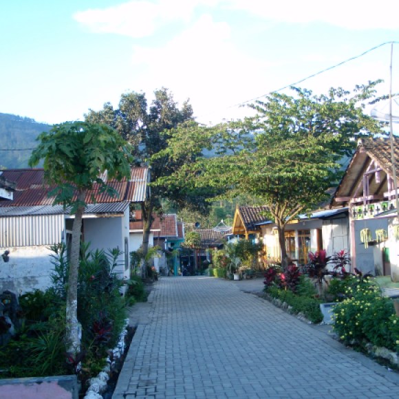 Tiny village surrounding the plantation